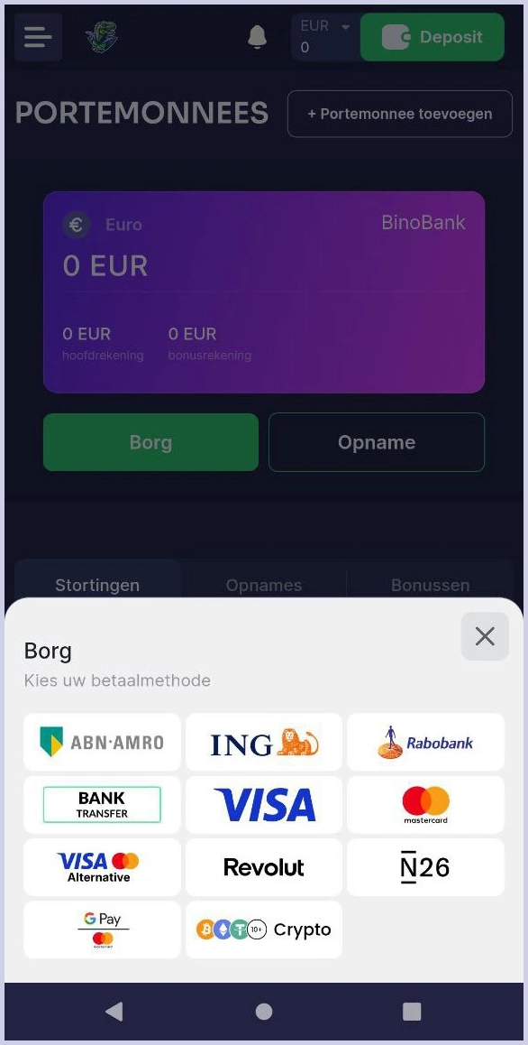 Overzicht van stortingsmethodes bij Binobet
